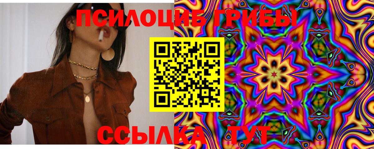 Кудрово  Галлюциногенные грибы Cubensis  Вход с VPN  Галлюциногенные грибы ЛСД 