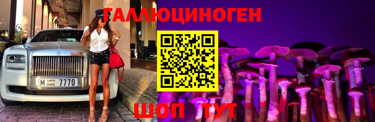 Галлюциногенные грибы Psilocybine cubensis Кудрово